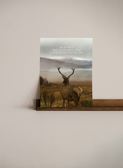 Poster für Christen, christlicher shop, christliche Geschenke, lettersandbeauties,  christliche Poster, Ermutigung, Herbstposter