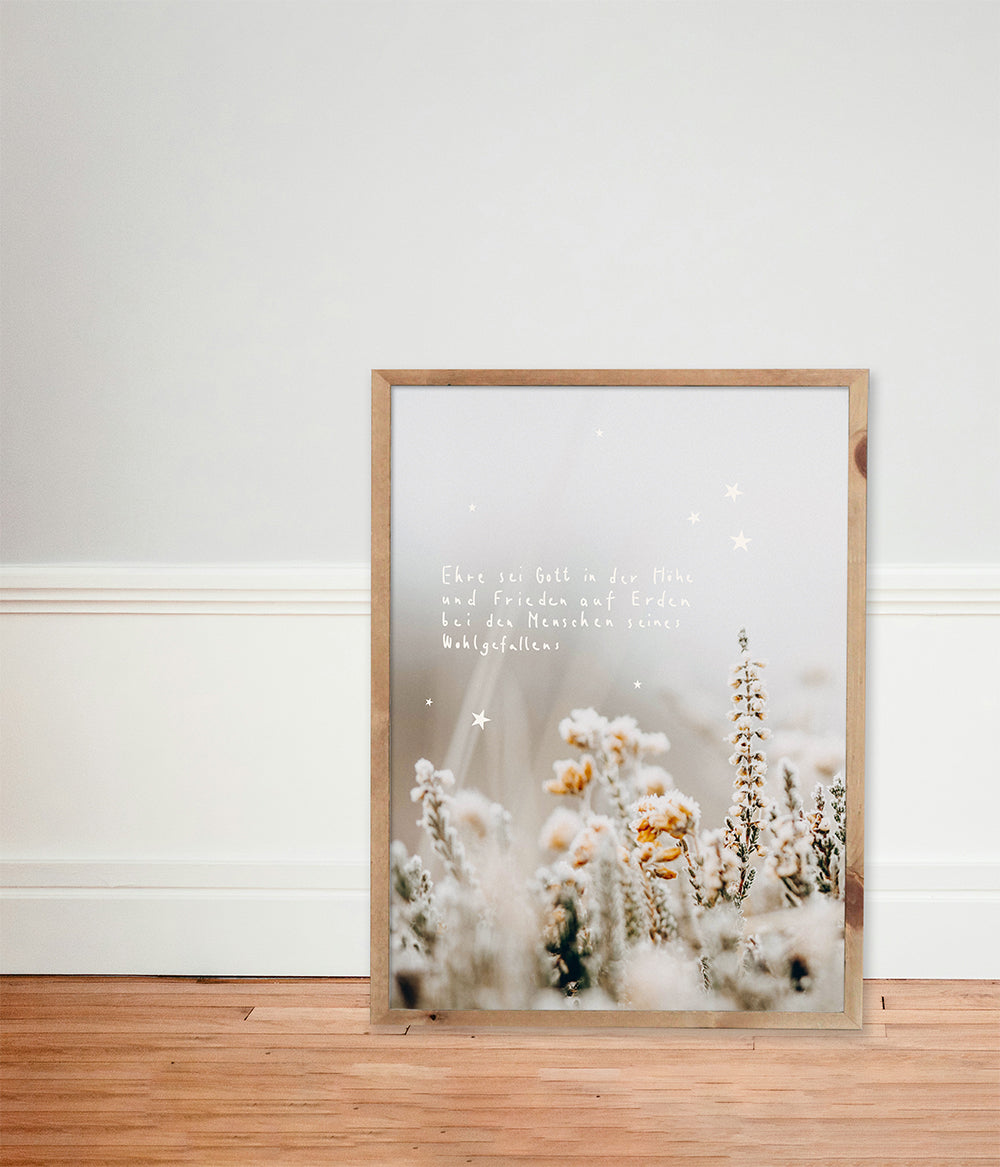 Poster Weihnachten "Ehre sei Gott"