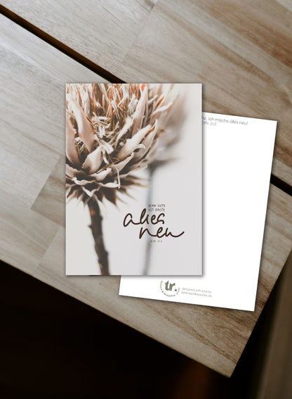 Jahreslosung 2026, Gott spricht: denn siehe ich mache alles neu, Postkarten zur Jahreslosung, Bibelverskarten, christliche Geschenke