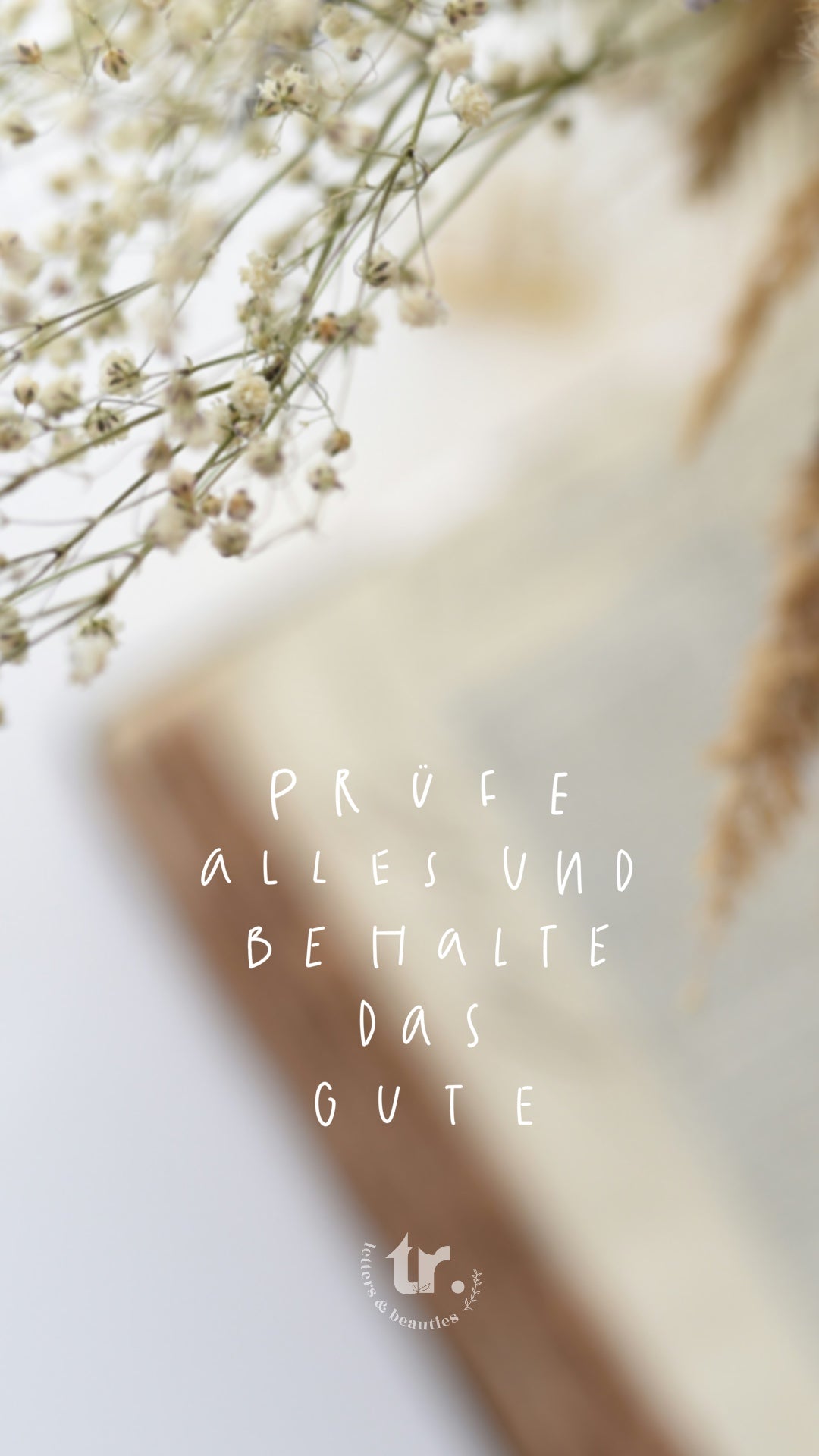 wallpaper, Handyhintergrund, christliche Hintergrundbilder, Jahreslosung, Prüfe alles und behalte das Gute