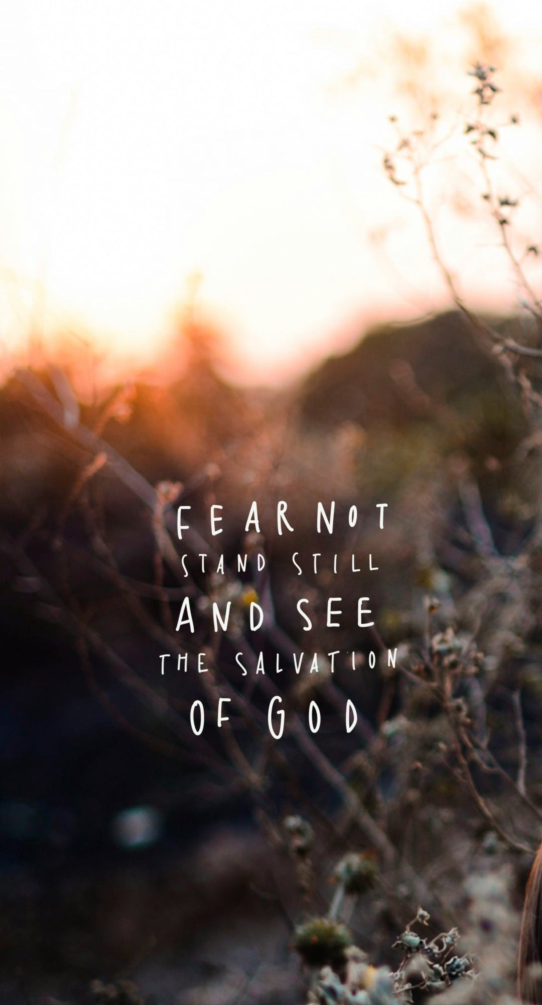 wallpaper, Handyhintergrund, christliche Hintergrundbilder, Fürchte dich nicht