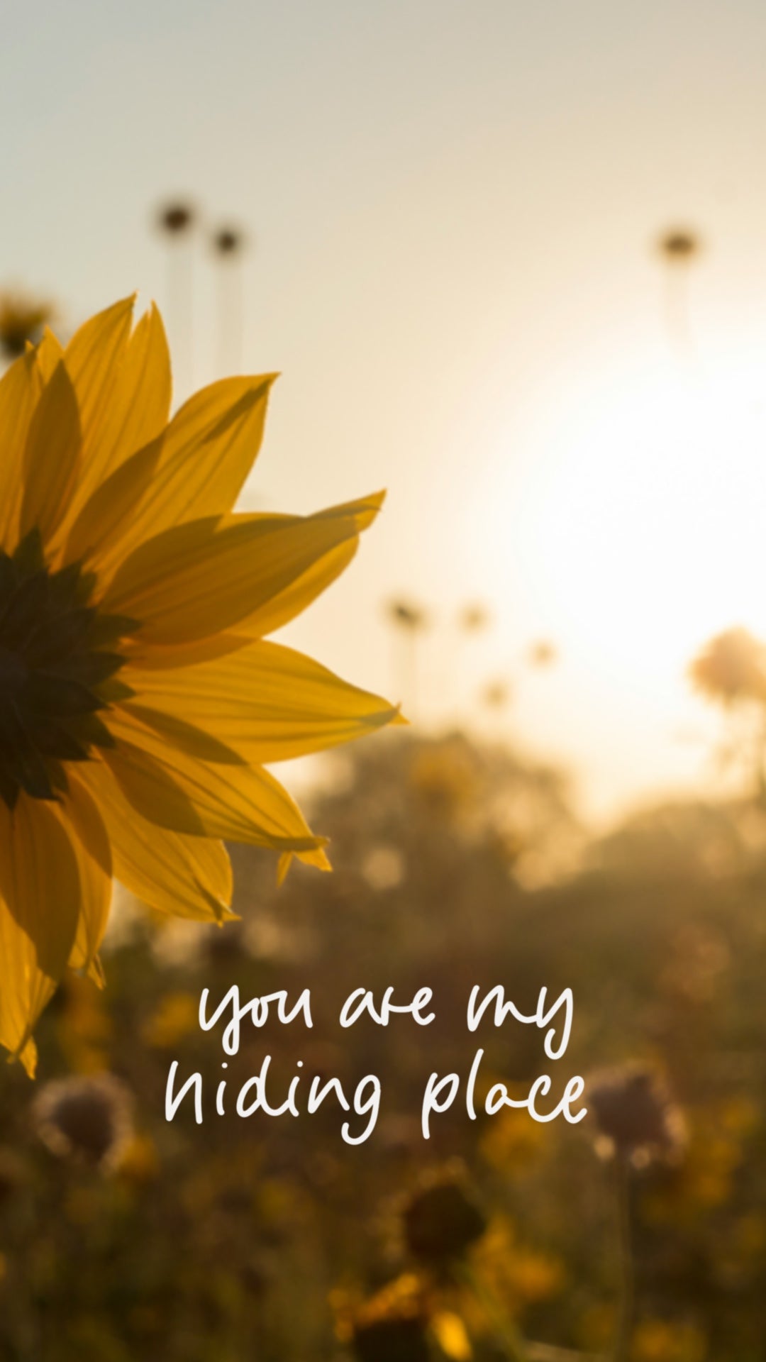 wallpaper, Handyhintergrund, christliche Hintergrundbilder, du bist mein Zufluchtsort
